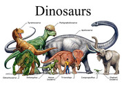 https://i.postimg.cc/t7vq9G9k/Dinosaurs.jpg
