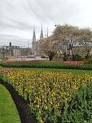 IMG_20210504_142900_434