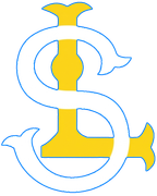 Samsung Lions Cap Logo1982Made Later S white Border Blue