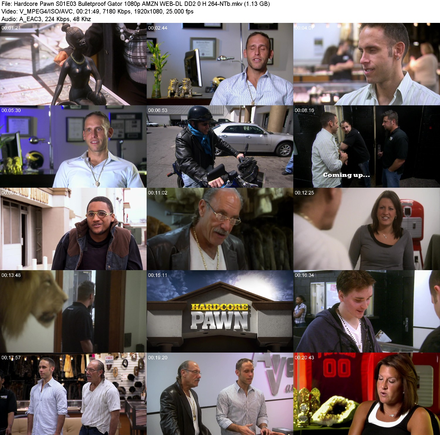 [Image: j09a3an3rcib.jpg]