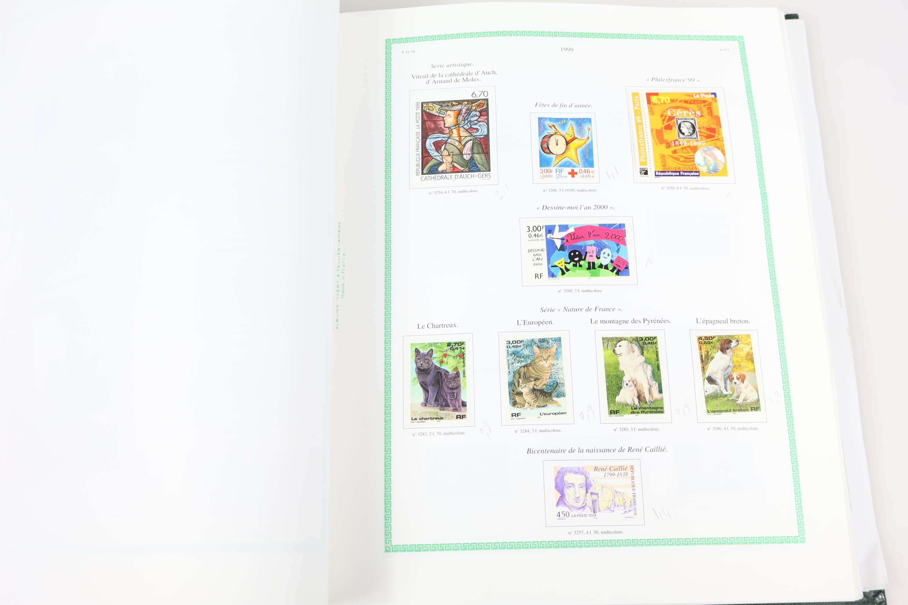IMG-1555