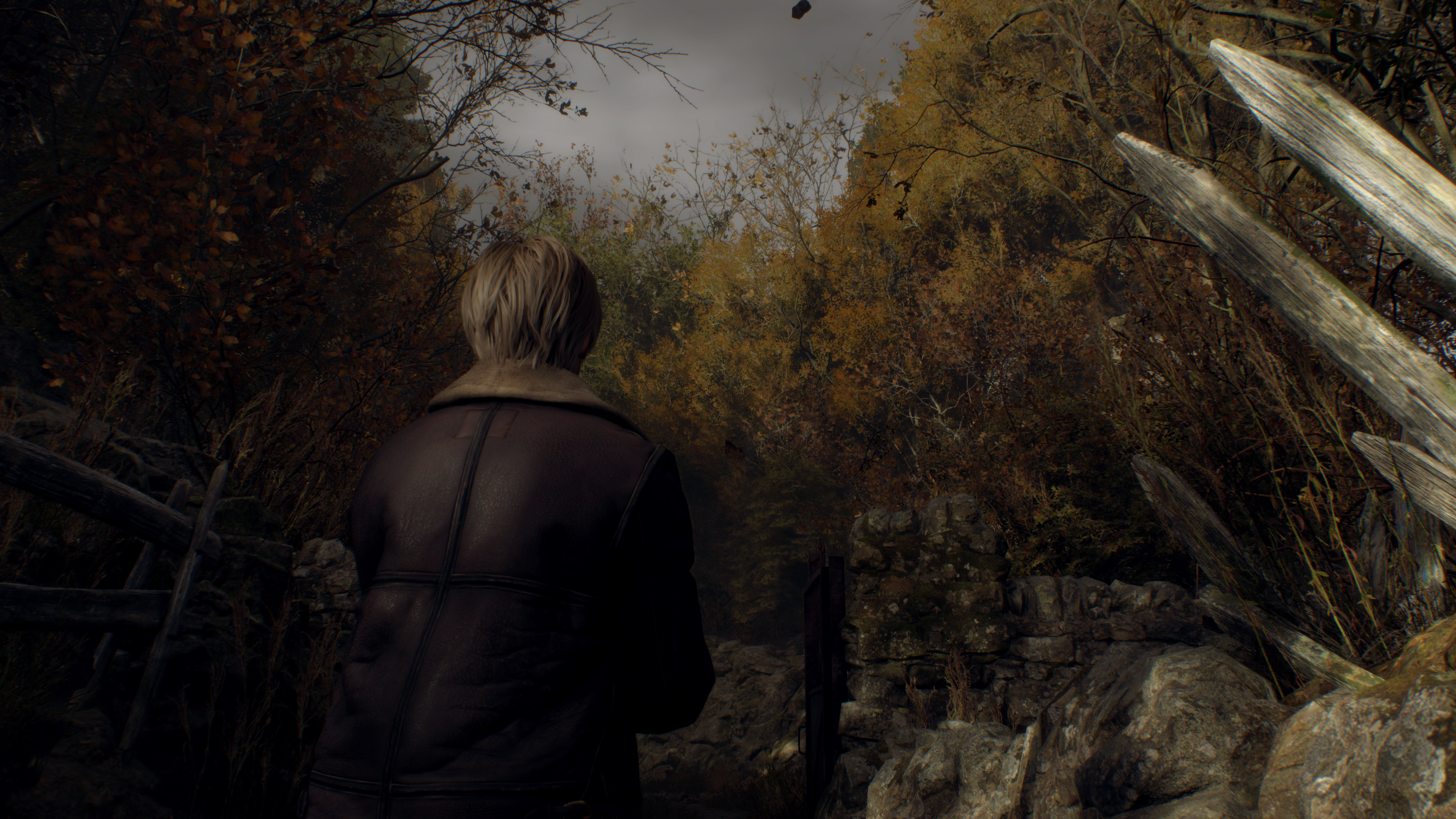 Resident-Evil-4-20241119173034.png