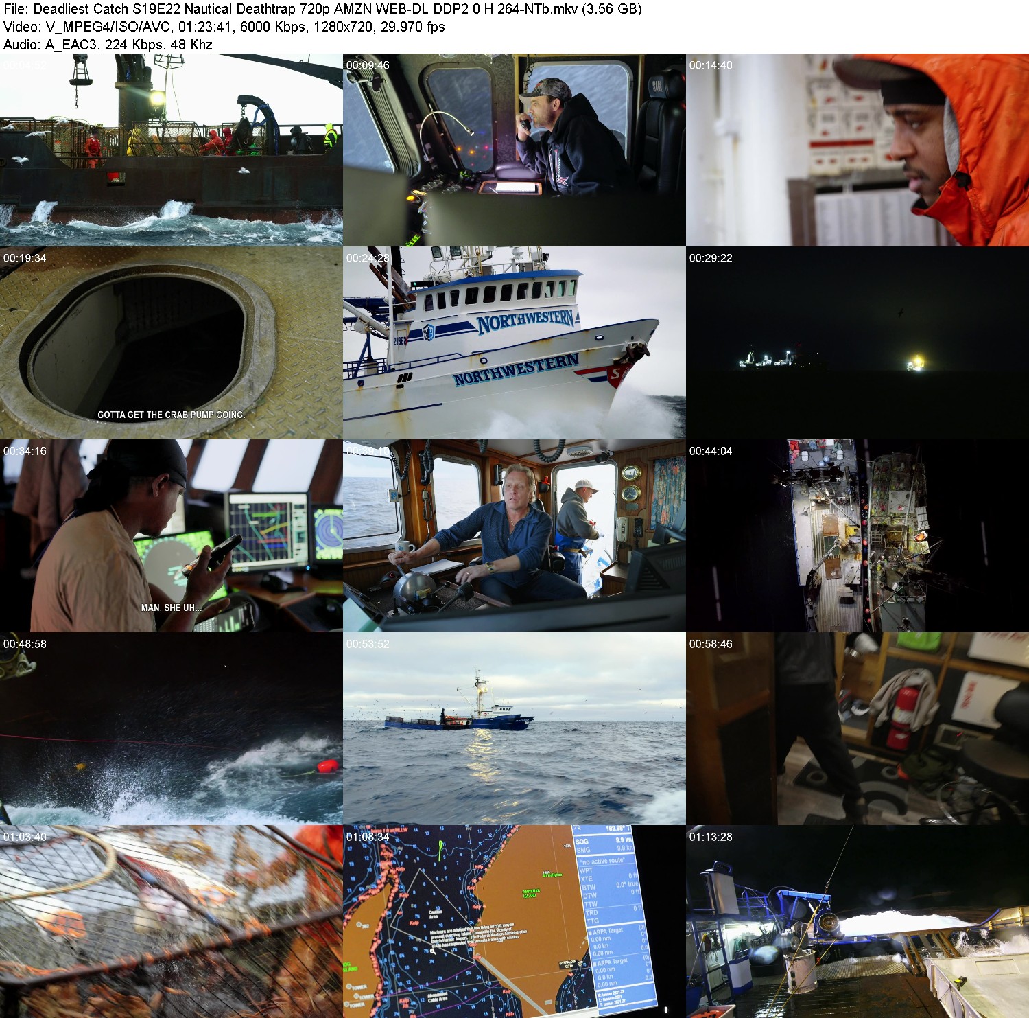 [Image: dislf0apw256.jpg]