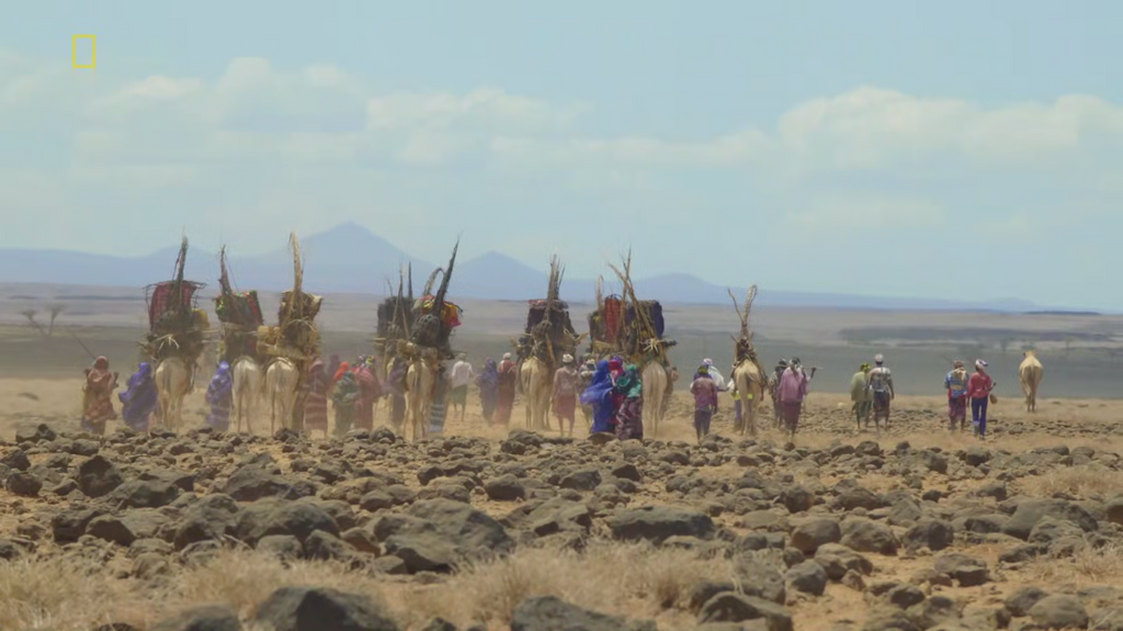 [Image: u1qwp0vf67sg.png]