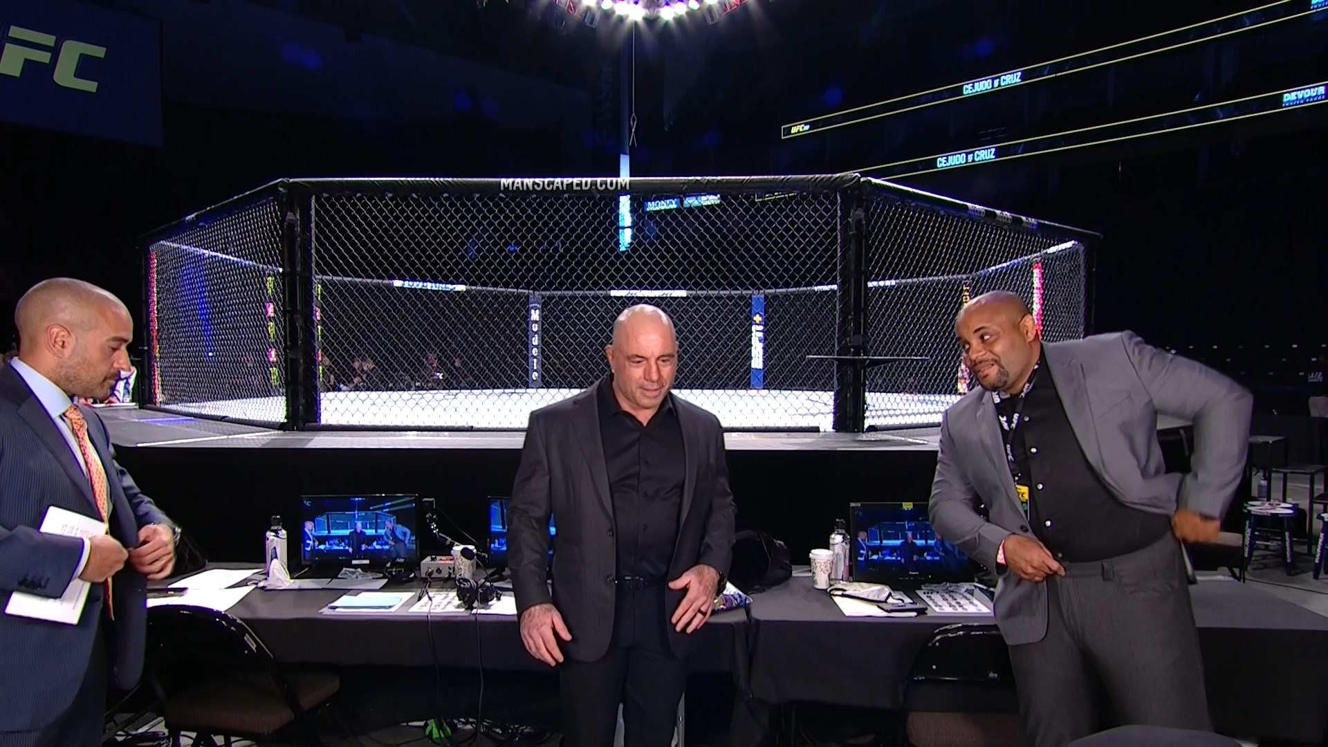 UFC 249 Full PPV 1080p HDTV x264-WH