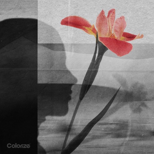 Polar Inc. & Anna-Sophia Henry - Sympathy (2026) MP3
