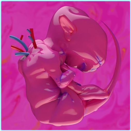 iiqf6liwx692.png