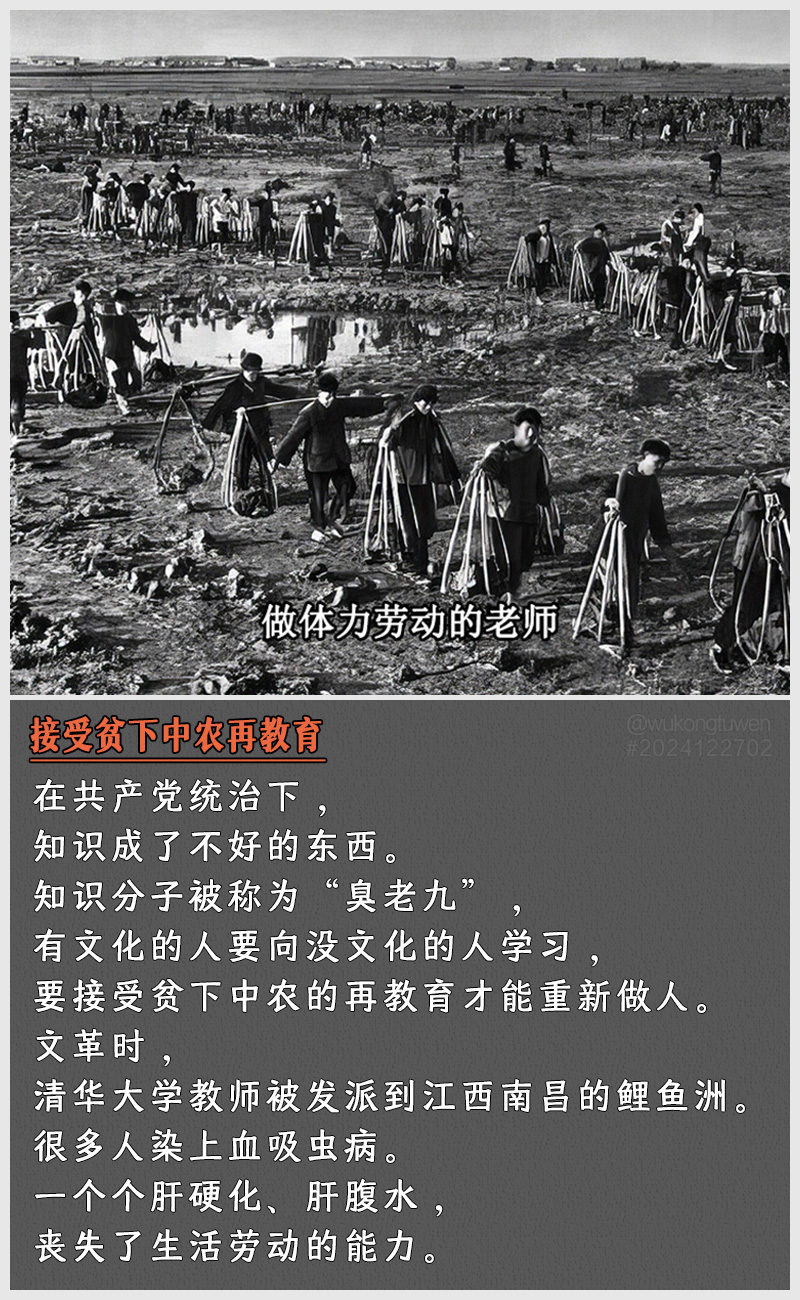 https://i.postimg.cc/t9rSw-GLY/2024122702.jpg