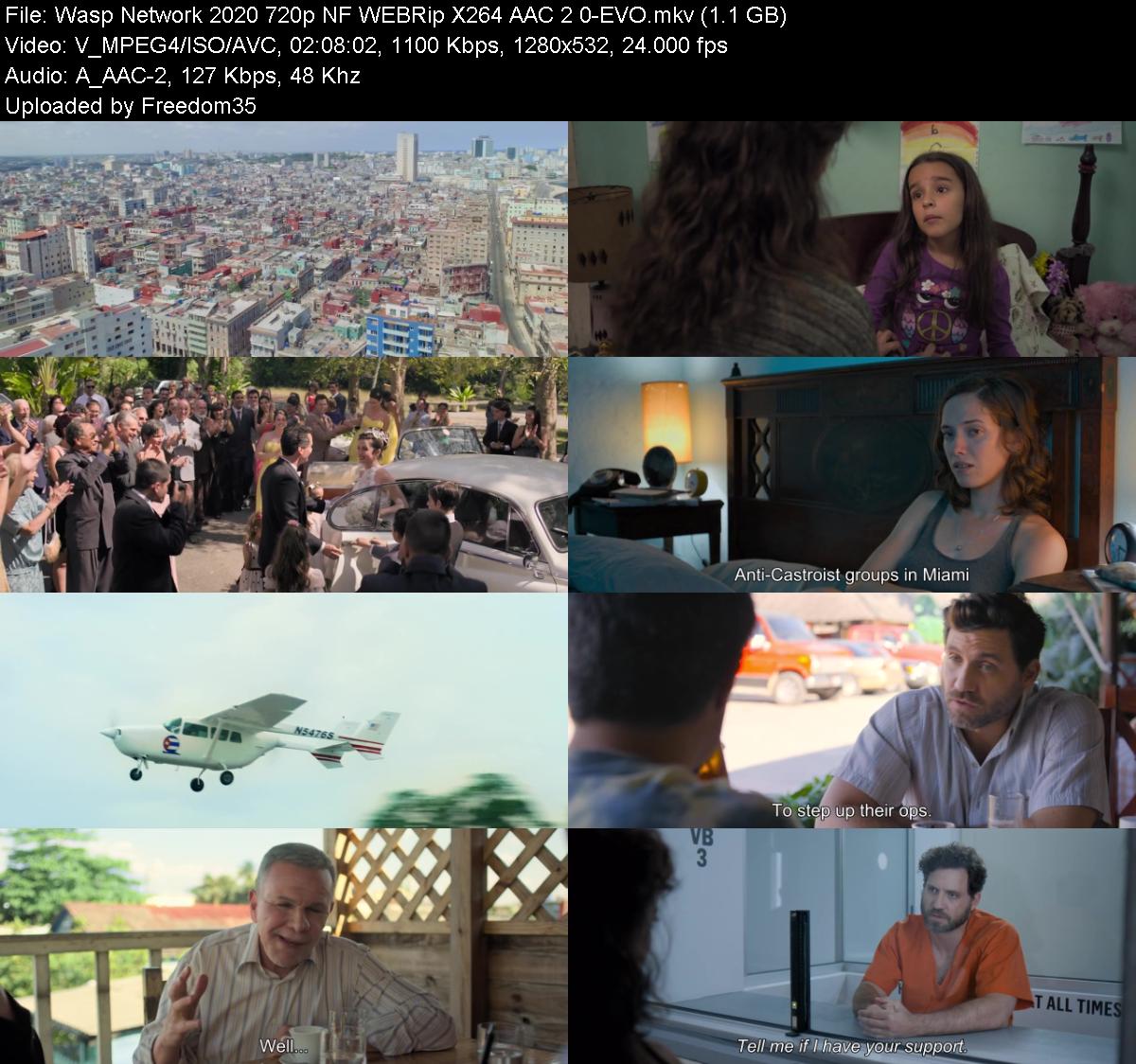 Wasp-Network-2020-720p-NF-WEBRip-X264-AA