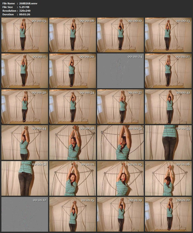 268B268.wmv