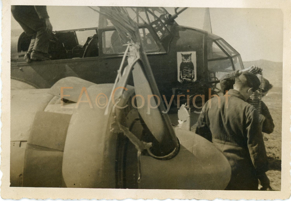 Wappen Kennzeichen Flugzeug Airplane Kämpfe Foto