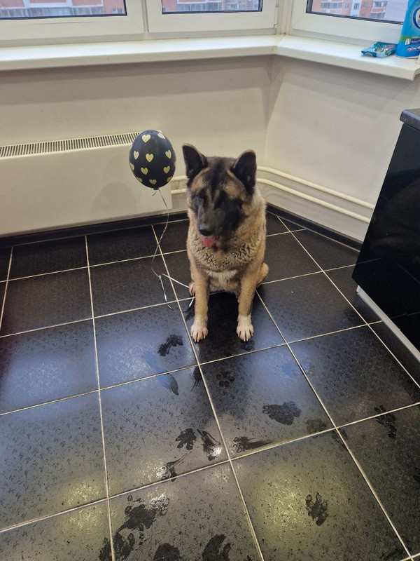 733D2E05-AC00-45C3-BAAB-C56CF75ED2D6