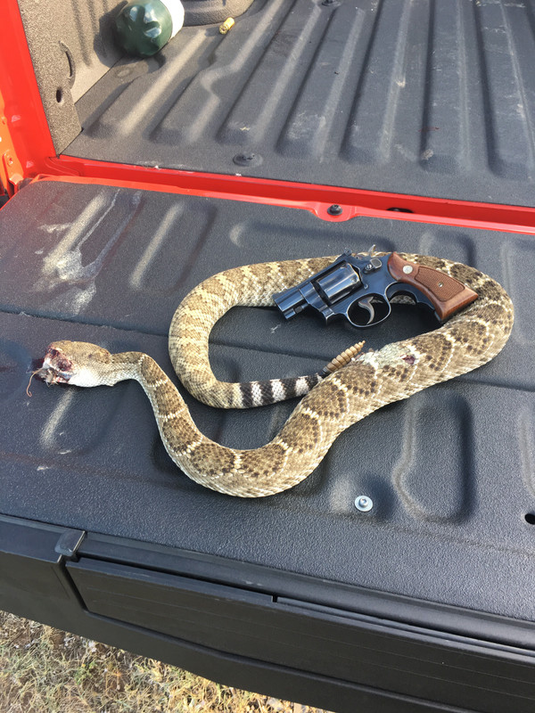 6D398C6A-9DE0-41D1-B409-D3D1F08EC3D7