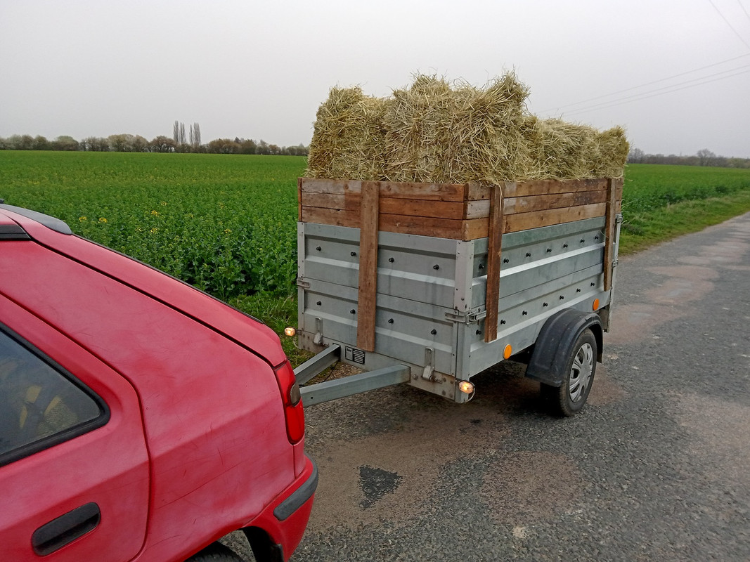 IMG_20240331_071219_MP