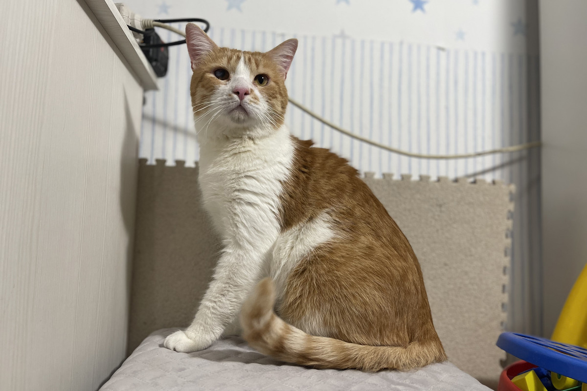 IMG_E1391 копия