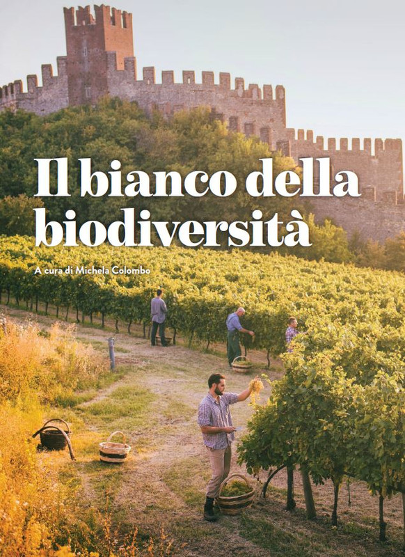 melaverde Feb 2022 (5)