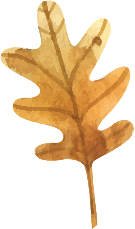 IPD_WP_Element (147)