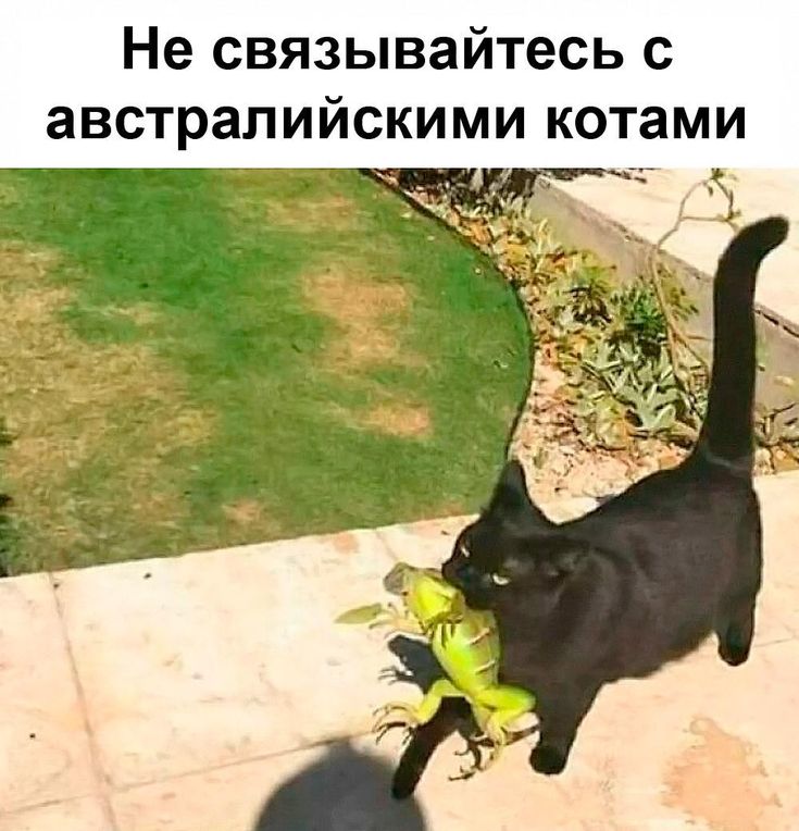 ee86dd676aae4967fd2fc4a49d1ba4d4.jpg