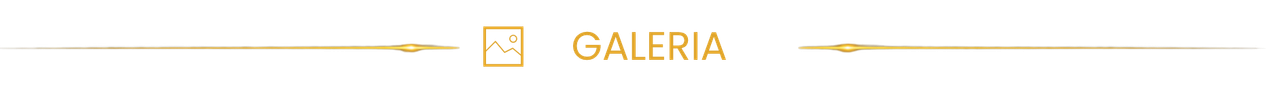 output-onlinepngtools-com-(5).png