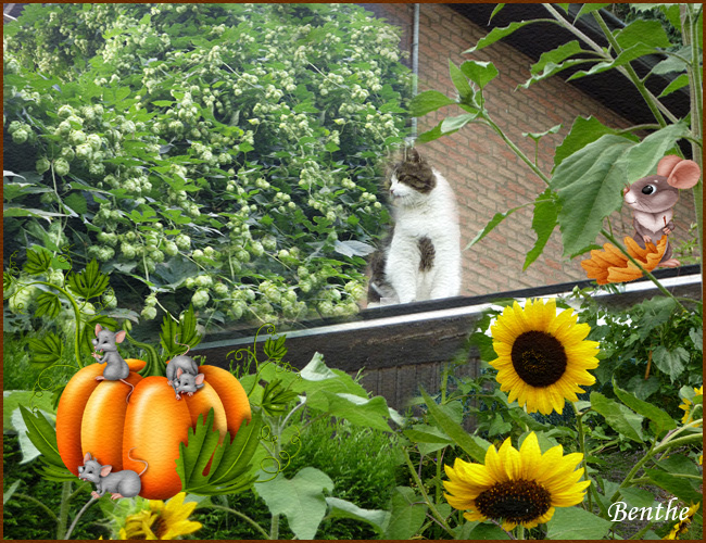 felix-herfst