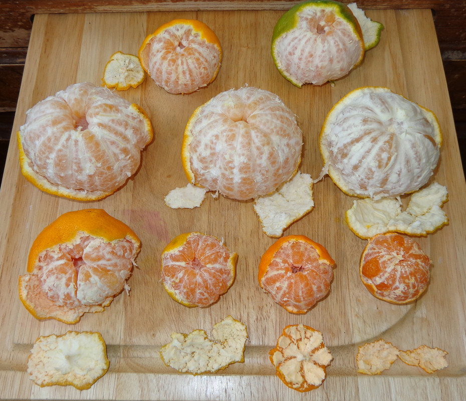 Xie_Shan-Taste-Update(11-28-21)2