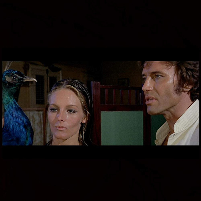 MV5BNGUwNzRkOWEtYTBhZS00NmI0LTkxYzAtNjYxYTNhYjlhMjEyXkEyXkFqcGde