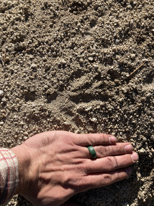 66C36ED1-8DF9-4E75-8149-8B5C4BA1716B