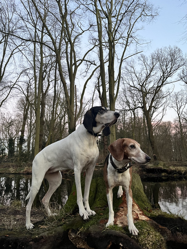 B0EBB600-21B4-43AA-B56C-9C283467E8D3