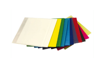 Placa protector bucal color 150 - 1.50 x unid.