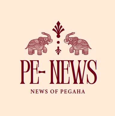 https://i.postimg.cc/tC2kVzw5/pe-news-logo.png