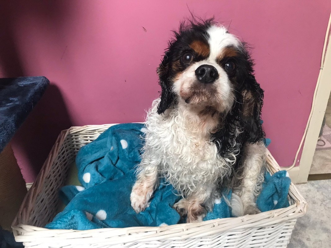 2A86D103-9D67-4C7F-9A70-D857CF0735AC