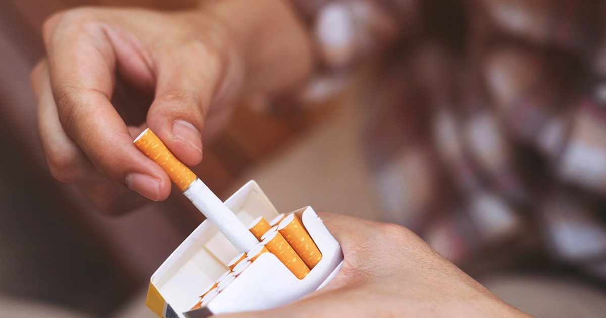 Hugo Lopéz-Gatell acusa a senador de bloquear reforma a Ley de control de Tabaco