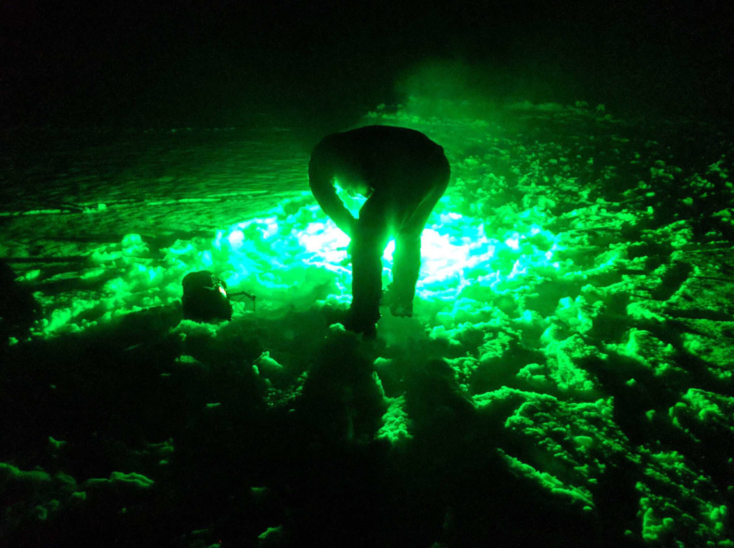 317E7E8D-67D0-4774-90DA-019A4BFE6759