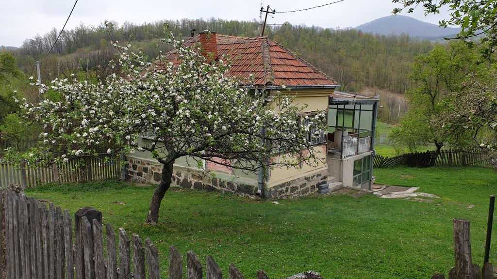 Slika