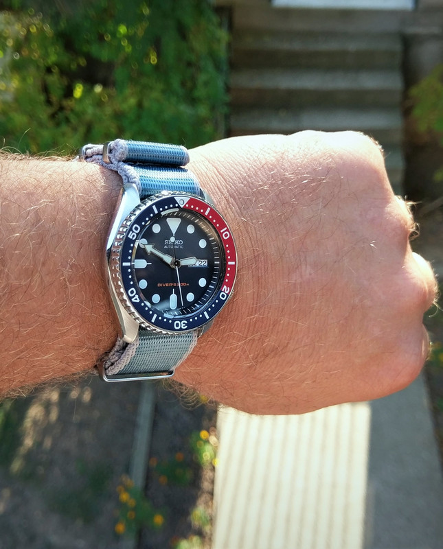 IMAG1550