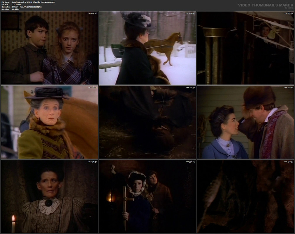 Road to Avonlea S03E10 After the Honeymoon.mkv