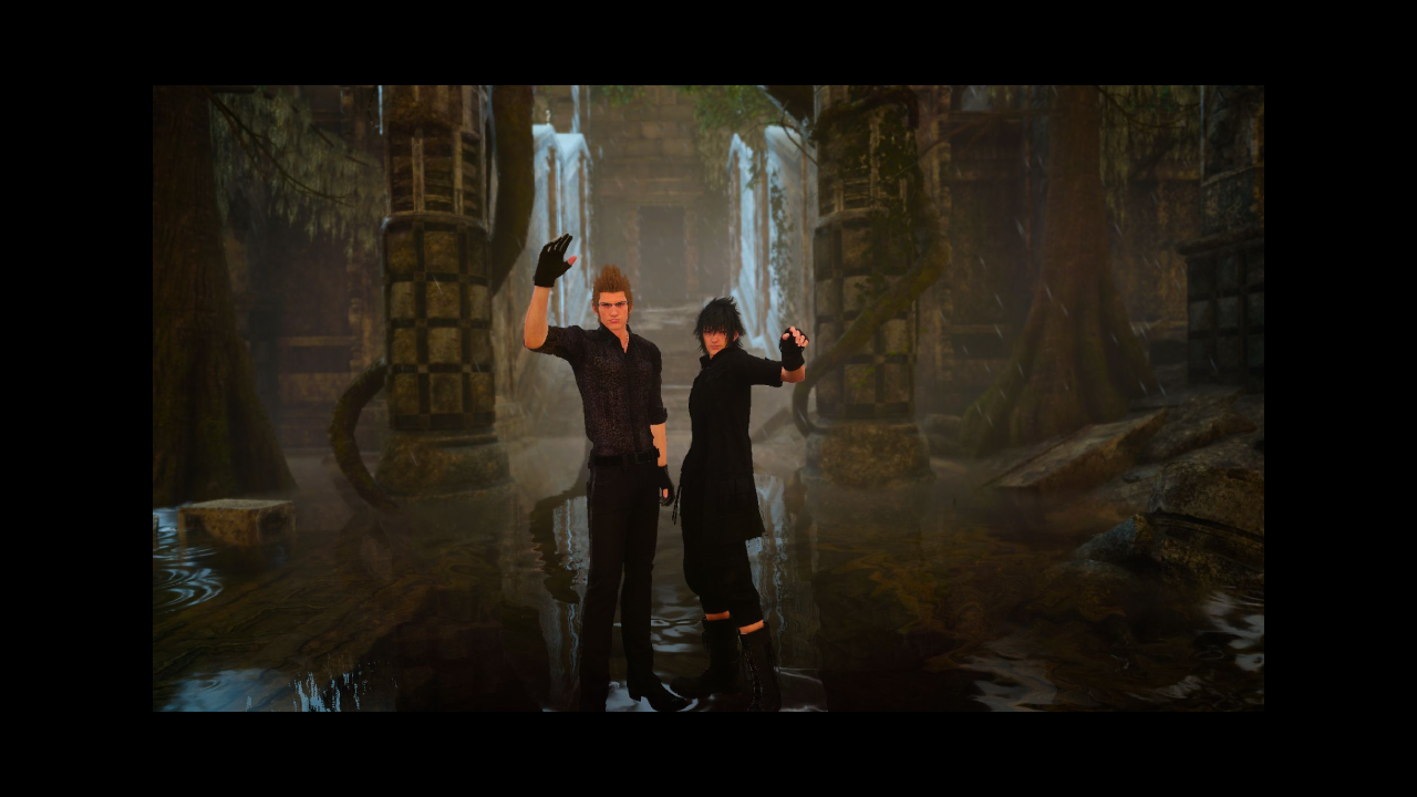 bye aranea