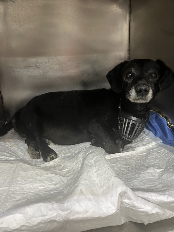 A0EFAD77-51A5-4043-87BB-0DC40B78673C