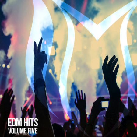 VA - EDM Hits Vol. 5 (2020)