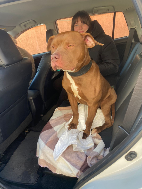 D41E0425-150B-4EB3-9432-EF315C173B79