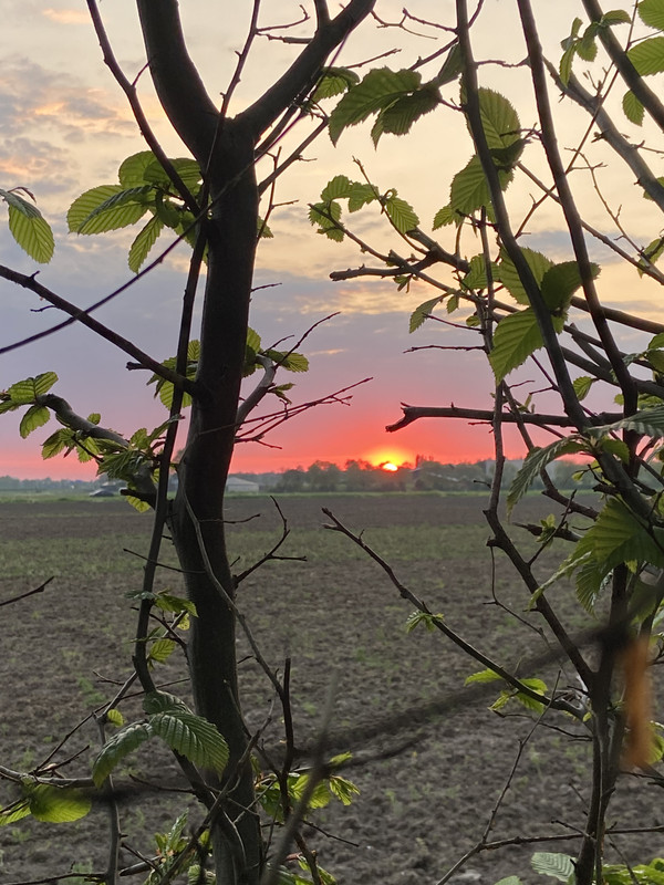 9B92319B-E948-4D17-9912-CEF1A3E04D3A