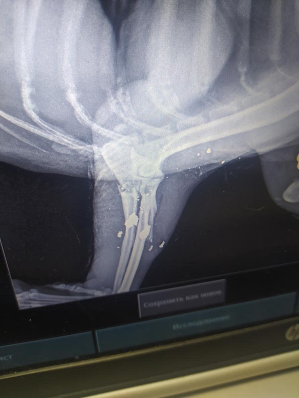 F36778A0-2EEA-4D0B-AC46-562FF7F9A412