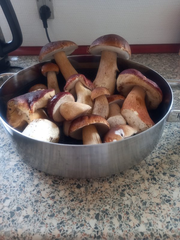 Изображение WhatsApp 2025-09-12 в 20.47.14_9b97f639