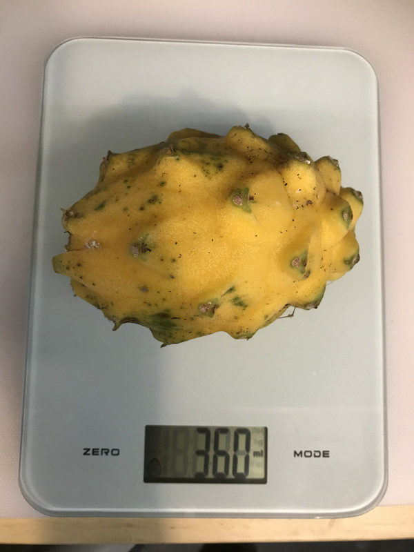 7EE2E1BE-B54E-4CA0-930A-7DF011F54EFC