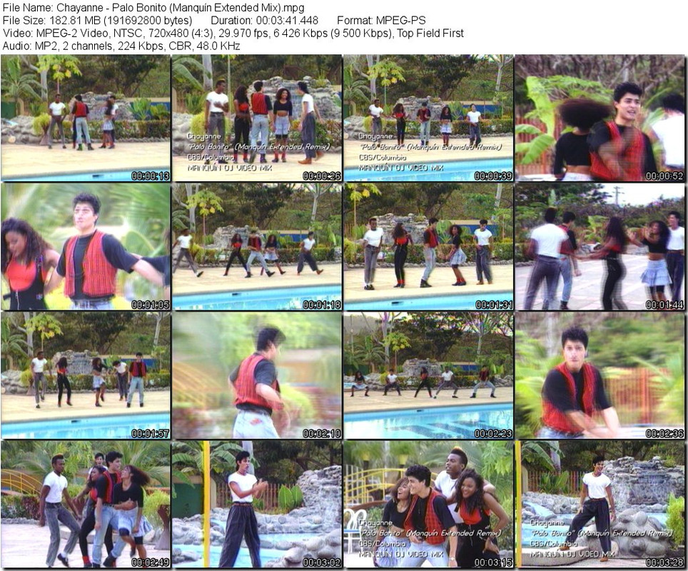 Chayanne - Palo Bonito (Manquín Extended Mix).mpg_tn