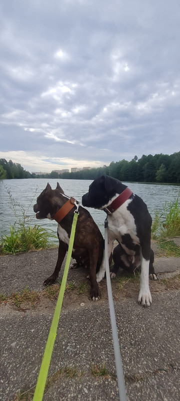 D39EE0A8-7CAC-4199-AE4C-502D7F9A51F5