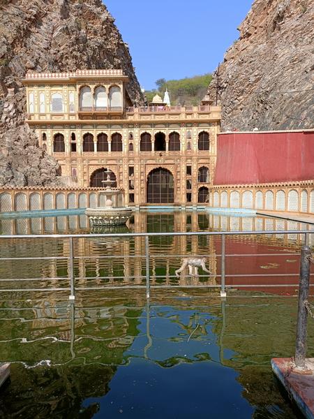 https://i.postimg.cc/tC7KNvyL/Jaipur-(134).jpg