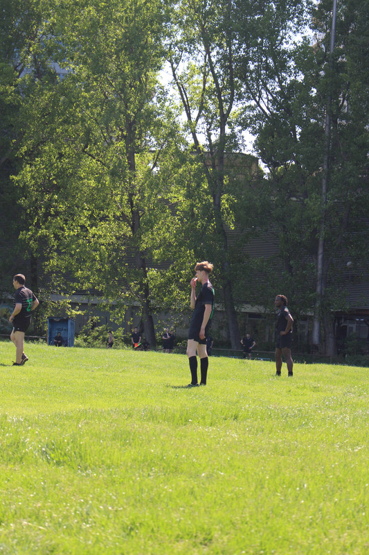 IMG-0337