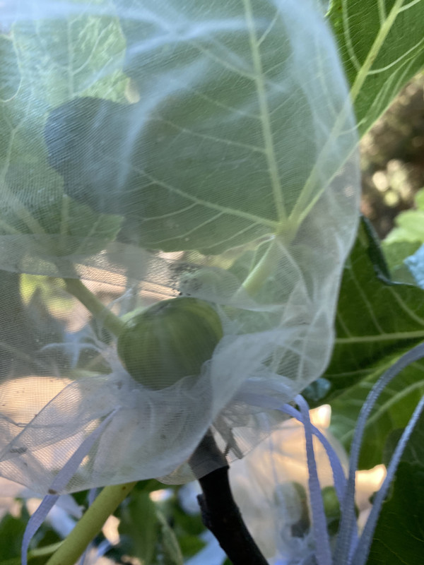 450DD0BE-E986-417B-AF3C-7C46CE96EEA3