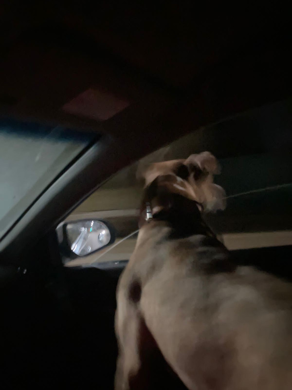 A22B3E04-7817-4B1D-AD63-2CA195AD6E45